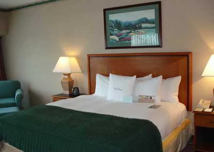 Doubletree By Hilton & Conference Center Chicago-downers Grove 3*